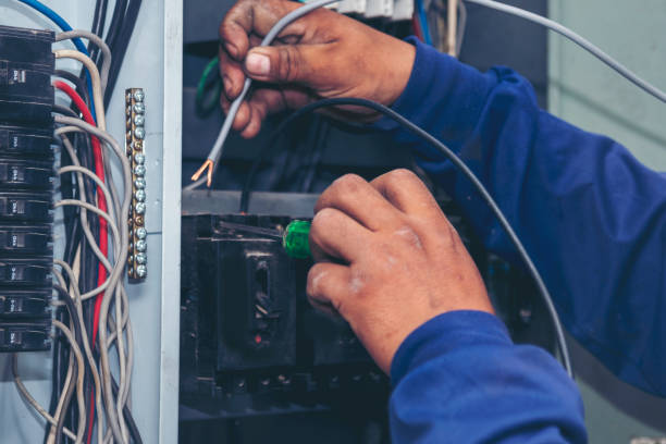 Best Electric Panel Repair  in Suffolk, VA